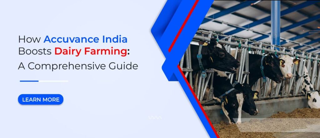 How Accuvance India Boosts Dairy Farming: A Comprehensive Guide