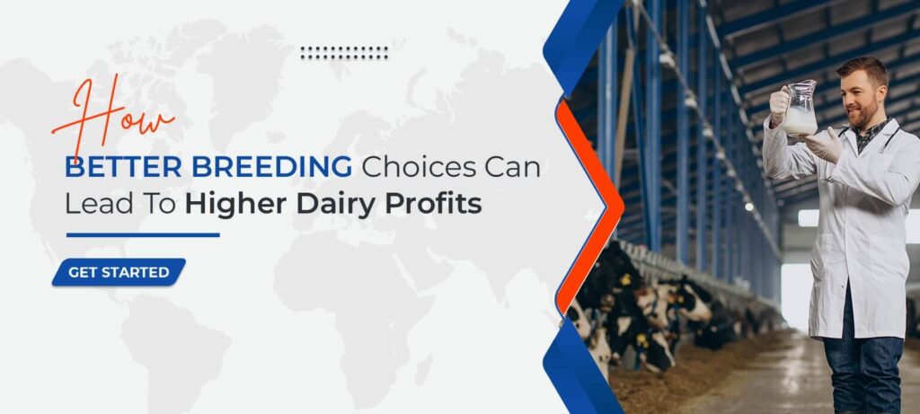 How Better Breeding Choices Can Lead to Higher Dairy Profits