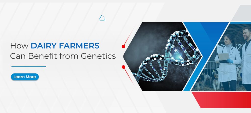 How Dairy Farmers Can Benefit from Genetics
