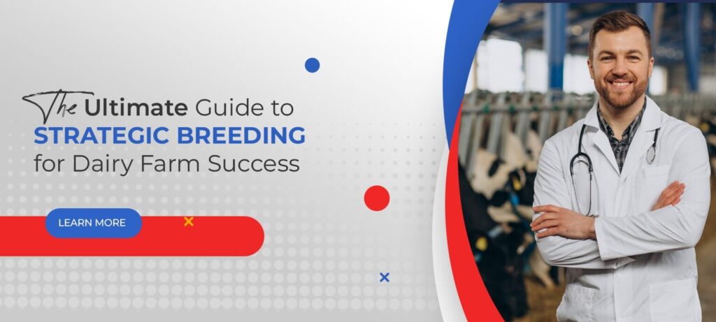 The Ultimate Guide to Strategic Breeding for Dairy Farm Success