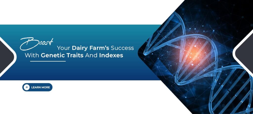 Boost Your Dairy Farm’s Success with Genetic Traits and Indexes