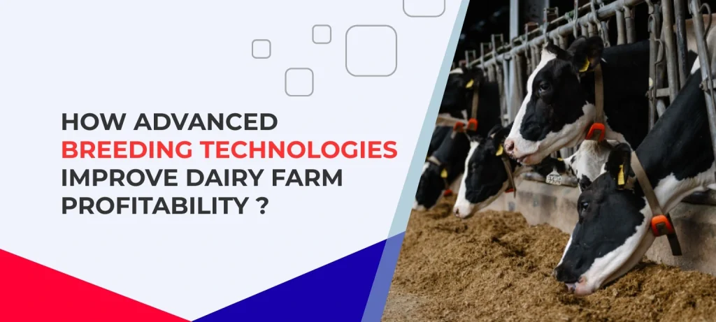 How Advanced Breeding Technologies Improve Dairy Farm Profitability