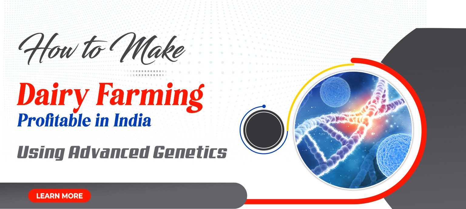 How to Make Dairy Farming Profitable in India Using Advanced Genetics