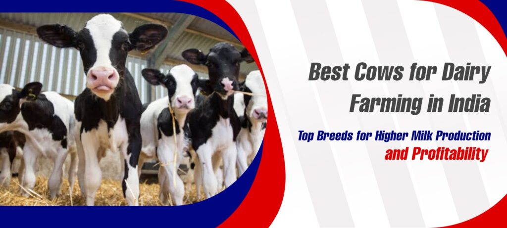 Best Cows for Dairy Farming in India Top Breeds for Higher Milk Production and Profitability
