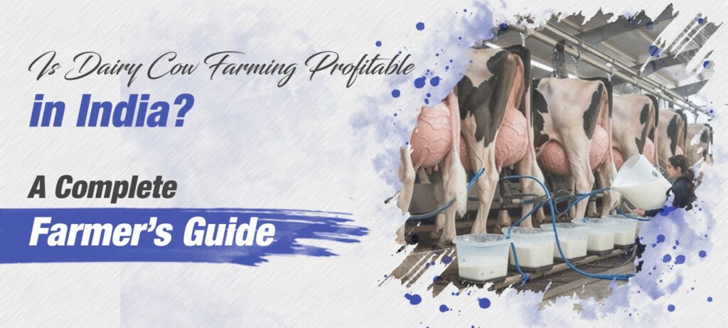 Is Dairy Cow Farming Profitable in India A Complete Farmer’s Guide